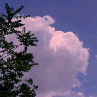 梦幻模拟战官服下载